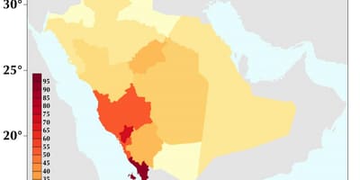 사우디아라비아 인구 밀도 지도